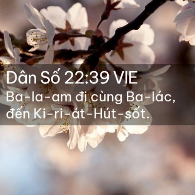 Picture 02 - Dân Số 22:39 VIE - Ba-la-am đi cùng Ba-lác, đến - Bible Verse Picture