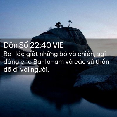 Picture 02 - Dân Số 22:40 VIE - Ba-lác giết những bò và chiên, sai dâng - Bible Verse Picture