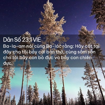 Picture 02 - Dân Số 23:1 VIE - Ba-la-am nói cùng Ba-lác rằng: Hãy cất - Bible Verse Picture