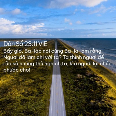 Picture 02 - Dân Số 23:11 VIE - Bấy giờ, Ba-lác nói cùng Ba-la-am rằng: - Bible Verse Picture