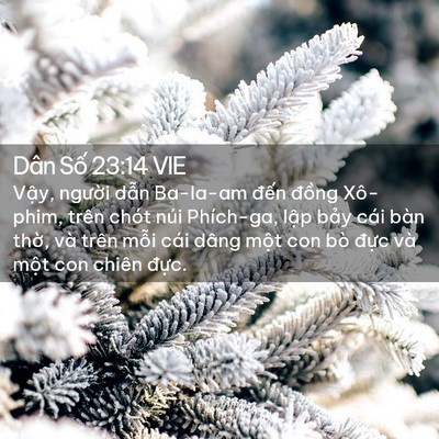 Picture 02 - Dân Số 23:14 VIE - Vậy, người dẫn Ba-la-am đến đồng - Bible Verse Picture