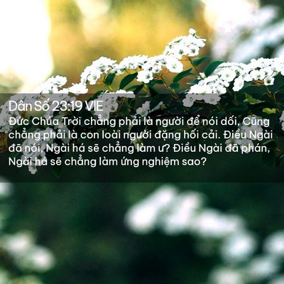 Picture 02 - Dân Số 23:19 VIE - Đức Chúa Trời chẳng phải là người - Bible Verse Picture