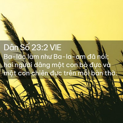 Picture 02 - Dân Số 23:2 VIE - Ba-lác làm như Ba-la-am đã nói; hai - Bible Verse Picture