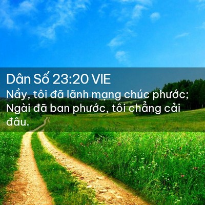 Picture 02 - Dân Số 23:20 VIE - Nầy, tôi đã lãnh mạng chúc phước; - Bible Verse Picture