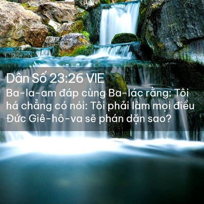 Picture 02 - Dân Số 23:26 VIE - Ba-la-am đáp cùng Ba-lác rằng: Tôi há - Bible Verse Picture
