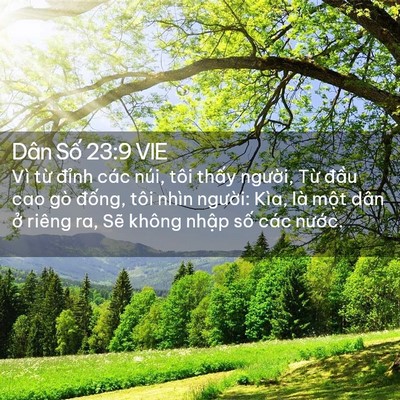 Picture 02 - Dân Số 23:9 VIE - Vì từ đỉnh các núi, tôi thấy người, - Bible Verse Picture