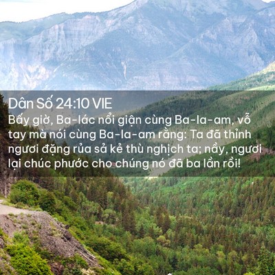 Picture 02 - Dân Số 24:10 VIE - Bấy giờ, Ba-lác nổi giận cùng Ba-la-am, - Bible Verse Picture