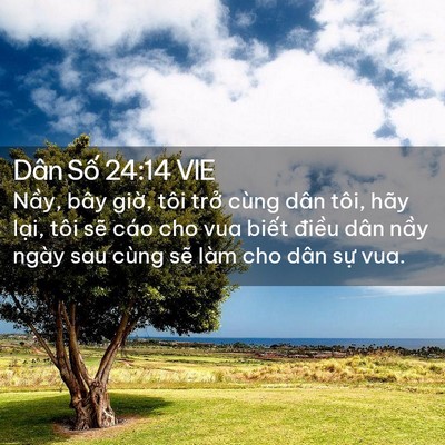 Picture 02 - Dân Số 24:14 VIE - Nầy, bây giờ, tôi trở cùng dân tôi, - Bible Verse Picture