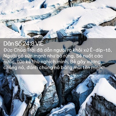 Picture 02 - Dân Số 24:8 VIE - Đức Chúa Trời đã dẫn người ra khỏi - Bible Verse Picture