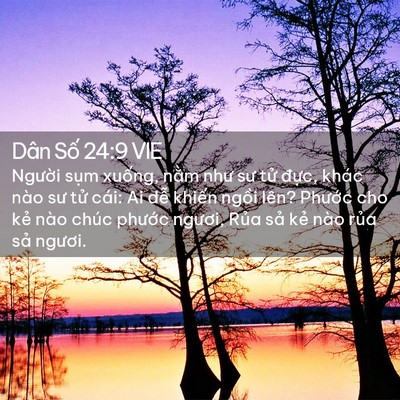 Picture 02 - Dân Số 24:9 VIE - Người sụm xuống, nằm như sư tử - Bible Verse Picture