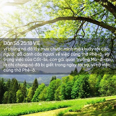 Picture 02 - Dân Số 25:18 VIE - vì chúng nó đã lấy mưu chước mình mà - Bible Verse Picture