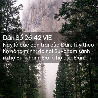 Picture 02 - Dân Số 26:42 VIE - Nầy là các con trai của Đan, tùy theo - Bible Verse Picture