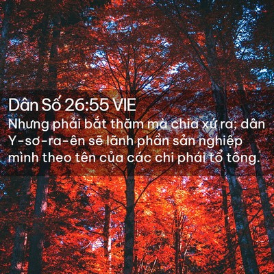 Picture 02 - Dân Số 26:55 VIE - Nhưng phải bắt thăm mà chia xứ ra; dân - Bible Verse Picture