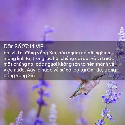 Picture 02 - Dân Số 27:14 VIE - bởi vì, tại đồng vắng Xin, các ngươi - Bible Verse Picture