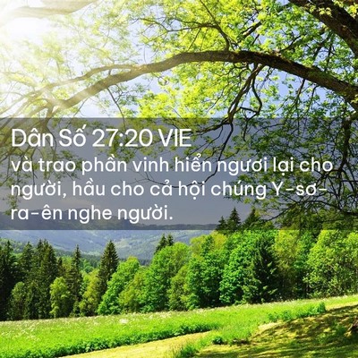 Picture 02 - Dân Số 27:20 VIE - và trao phần vinh hiển ngươi lại cho - Bible Verse Picture