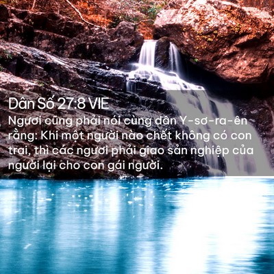 Picture 02 - Dân Số 27:8 VIE - Ngươi cũng phải nói cùng dân Y-sơ-ra-ên - Bible Verse Picture
