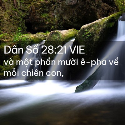 Picture 02 - Dân Số 28:21 VIE - và một phần mười ê-pha về mỗi chiên - Bible Verse Picture