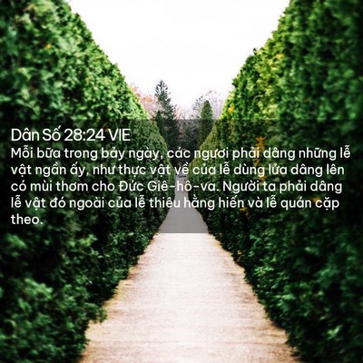 Picture 02 - Dân Số 28:24 VIE - Mỗi bữa trong bảy ngày, các ngươi - Bible Verse Picture
