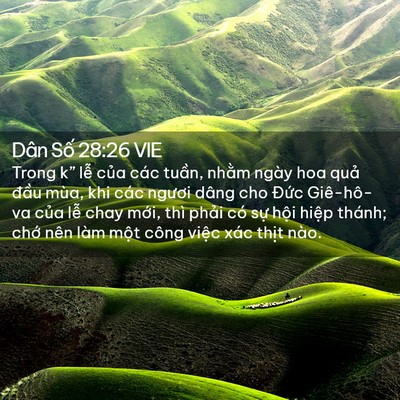 Picture 02 - Dân Số 28:26 VIE - Trong k” lễ của các tuần, nhằm ngày - Bible Verse Picture