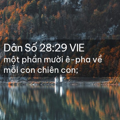 Picture 02 - Dân Số 28:29 VIE - một phần mười ê-pha về mỗi con chiên - Bible Verse Picture