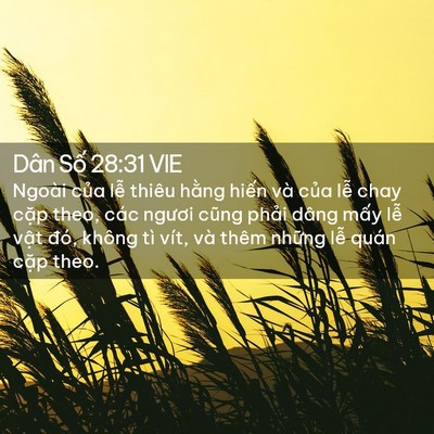 Picture 02 - Dân Số 28:31 VIE - Ngoài của lễ thiêu hằng hiến và của - Bible Verse Picture