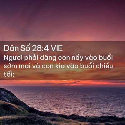 Picture 02 - Dân Số 28:4 VIE - Ngươi phải dâng con nầy vào buổi sớm - Bible Verse Picture