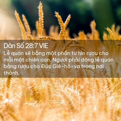 Picture 02 - Dân Số 28:7 VIE - Lễ quán sẽ bằng một phần tư hin - Bible Verse Picture
