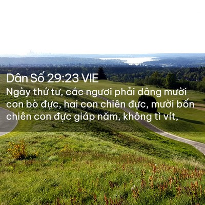 Picture 02 - Dân Số 29:23 VIE - Ngày thứ tư, các ngươi phải dâng - Bible Verse Picture
