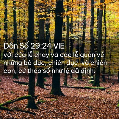 Picture 02 - Dân Số 29:24 VIE - với của lễ chay và các lễ quán về - Bible Verse Picture
