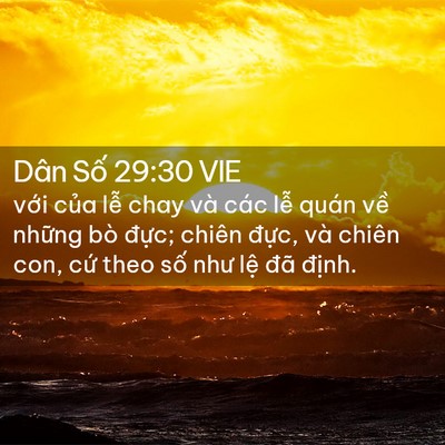 Picture 02 - Dân Số 29:30 VIE - với của lễ chay và các lễ quán về - Bible Verse Picture