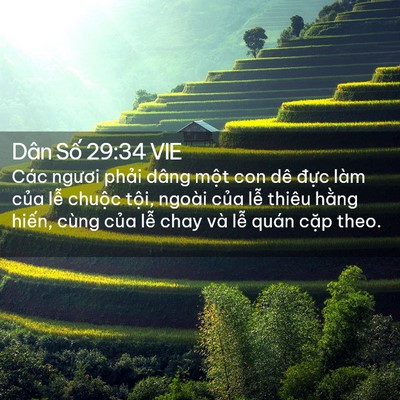 Picture 02 - Dân Số 29:34 VIE - Các ngươi phải dâng một con dê đực - Bible Verse Picture