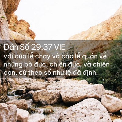 Picture 02 - Dân Số 29:37 VIE - với của lễ chay và các lễ quán về - Bible Verse Picture