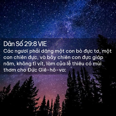 Picture 02 - Dân Số 29:8 VIE - Các ngươi phải dâng một con bò đực - Bible Verse Picture