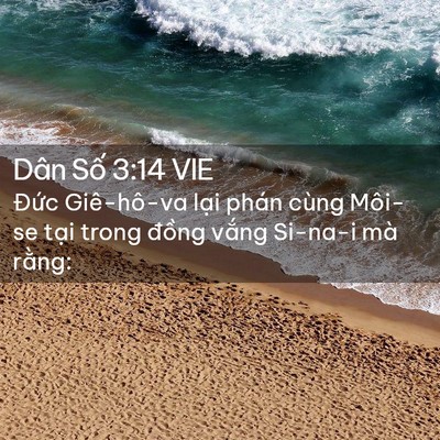 Picture 02 - Dân Số 3:14 VIE - Đức Giê-hô-va lại phán cùng Môi-se - Bible Verse Picture
