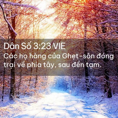 Picture 02 - Dân Số 3:23 VIE - Các họ hàng của Ghẹt-sôn đóng trại - Bible Verse Picture