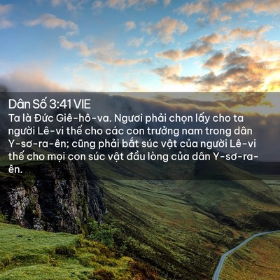 Picture 02 - Dân Số 3:41 VIE - Ta là Đức Giê-hô-va. Ngươi phải chọn - Bible Verse Picture