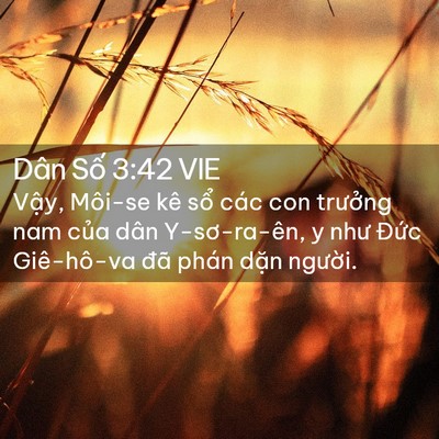 Picture 02 - Dân Số 3:42 VIE - Vậy, Môi-se kê sổ các con trưởng nam - Bible Verse Picture