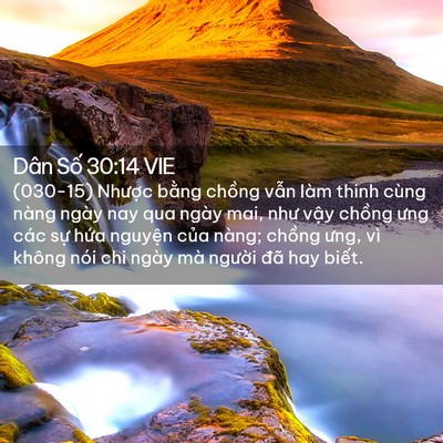 Picture 02 - Dân Số 30:14 VIE - (030-15) Nhược bằng chồng vẫn làm thinh - Bible Verse Picture