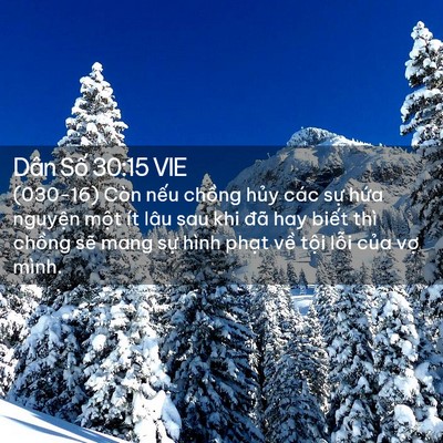 Picture 02 - Dân Số 30:15 VIE - (030-16) Còn nếu chồng hủy các sự hứa - Bible Verse Picture