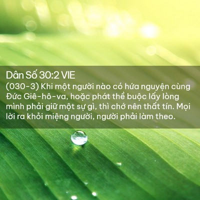 Picture 02 - Dân Số 30:2 VIE - (030-3) Khi một người nào có hứa - Bible Verse Picture