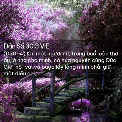 Picture 02 - Dân Số 30:3 VIE - (030-4) Khi một người nữ, trong buổi - Bible Verse Picture
