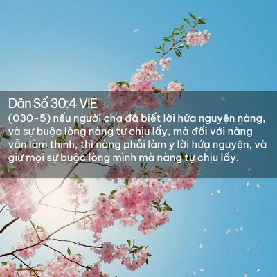 Picture 02 - Dân Số 30:4 VIE - (030-5) nếu người cha đã biết lời - Bible Verse Picture
