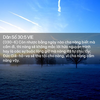 Picture 02 - Dân Số 30:5 VIE - (030-6) Còn nhược bằng ngày nào cha nàng - Bible Verse Picture