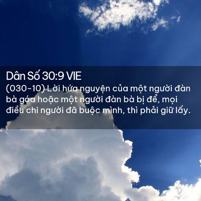 Picture 02 - Dân Số 30:9 VIE - (030-10) Lời hứa nguyện của một - Bible Verse Picture