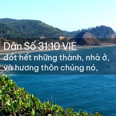 Picture 02 - Dân Số 31:10 VIE - đốt hết những thành, nhà ở, và - Bible Verse Picture