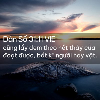Picture 02 - Dân Số 31:11 VIE - cũng lấy đem theo hết thảy của đoạt - Bible Verse Picture