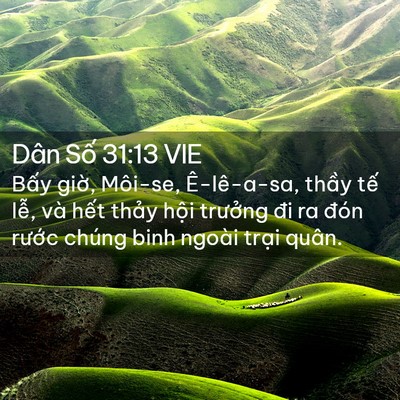 Picture 02 - Dân Số 31:13 VIE - Bấy giờ, Môi-se, Ê-lê-a-sa, thầy tế - Bible Verse Picture
