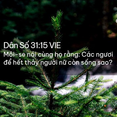 Picture 02 - Dân Số 31:15 VIE - Môi-se nói cùng họ rằng: Các ngươi - Bible Verse Picture