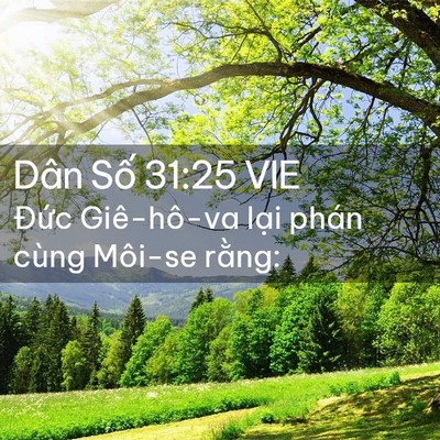 Picture 02 - Dân Số 31:25 VIE - Đức Giê-hô-va lại phán cùng Môi-se - Bible Verse Picture