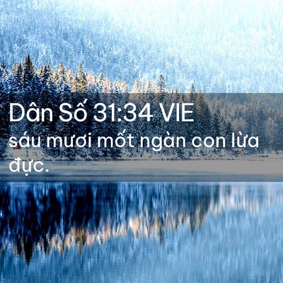 Picture 02 - Dân Số 31:34 VIE - sáu mươi mốt ngàn con lừa - Bible Verse Picture
